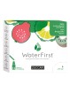 Zuccari WaterFirst Kiwi Bergamotto Guava 12 Stick-pack